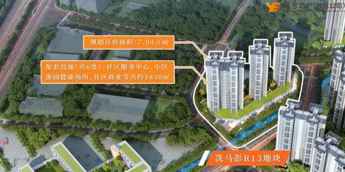 碧桂园爆料最新消息洪雅,揭秘项目进展与未来规划