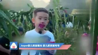 彭祖电视在线观看,探寻长寿秘籍的传奇之旅